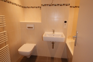 Example bathroom renovation